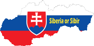 RSI 2018 Quiz 2 : Siberia in Slovakia